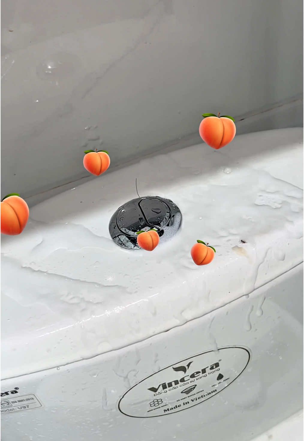 Dọn nhà vệ sinh nhanh mà nhàn với Saiza nè #mebemy #quynhanhne #cuocsongthuongngay #dondepnhacua #saiza #xitnhatamsaiza #vesinhnhatamsaiza  