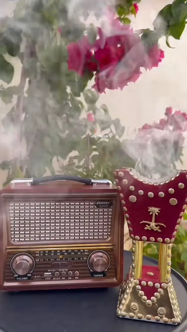 #قران_كريم #زكي_داغستاني 