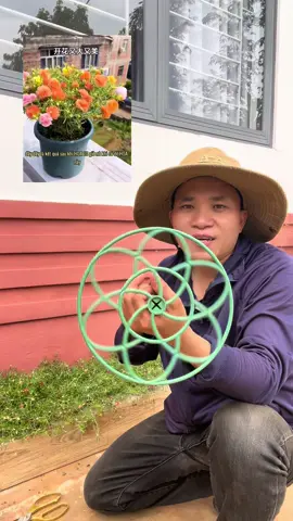 Bạn Nào Yêu Thích Hoa 10h Thì Dùng Khung Đỡ Này Làm Bonsai Nè#ongbonongdanreview #khungdohoamuoigio #dungculamvuon 