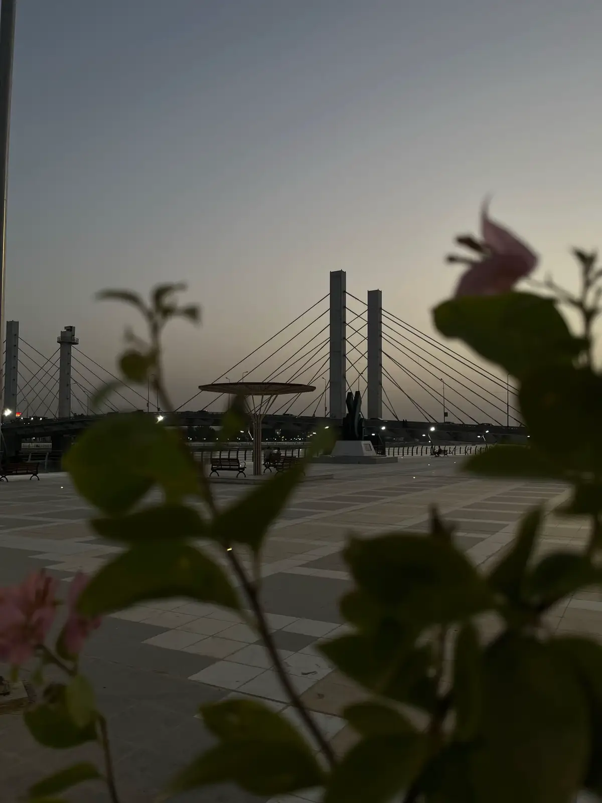 #fyp #fypシ #viral #ناصريه 