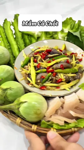 Mỗi vùng miền có những loại mắm đặc trưng riêng lần đầu tiên thử ăn mắm chốt đặc sản miền tây mà hợp nha cả nhà #xuhuong #monngonmoingay #xuhuongtiktok #mamcachot #ancungtiktok #nauancungtiktok #trending #viral #viralvideo #mukbang #review 