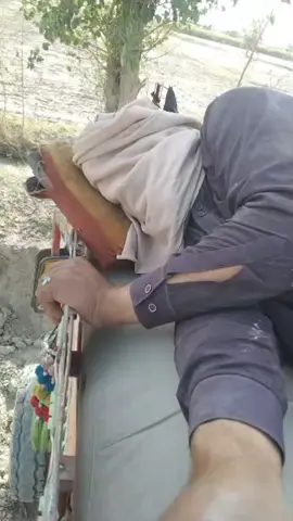 #فاریو #فاریوپیج  #viralvideotiktok  #unfrezzmyaccount #justnewtrendingvideo 