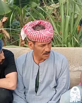 الحاج وحوح بيدور على سواق معاه رخصه اولى عشان يسوق الديك 😂#كوميديا_الحاج_وحوح #القرموطي #تريندات #كوميديا_عربية #ضحك_كوميديا_اكسبلور #تريند_التيك_توك 