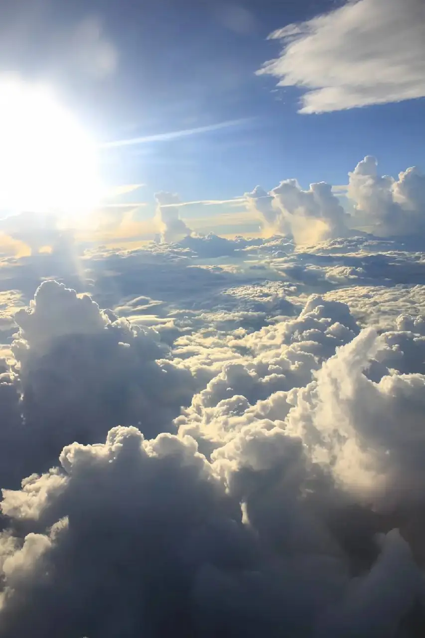 #gfxanime #gfxtiktok #gfxgreenscreen  #thankyou #pexelsvideo ##fyppppppppppppppppppppppp 