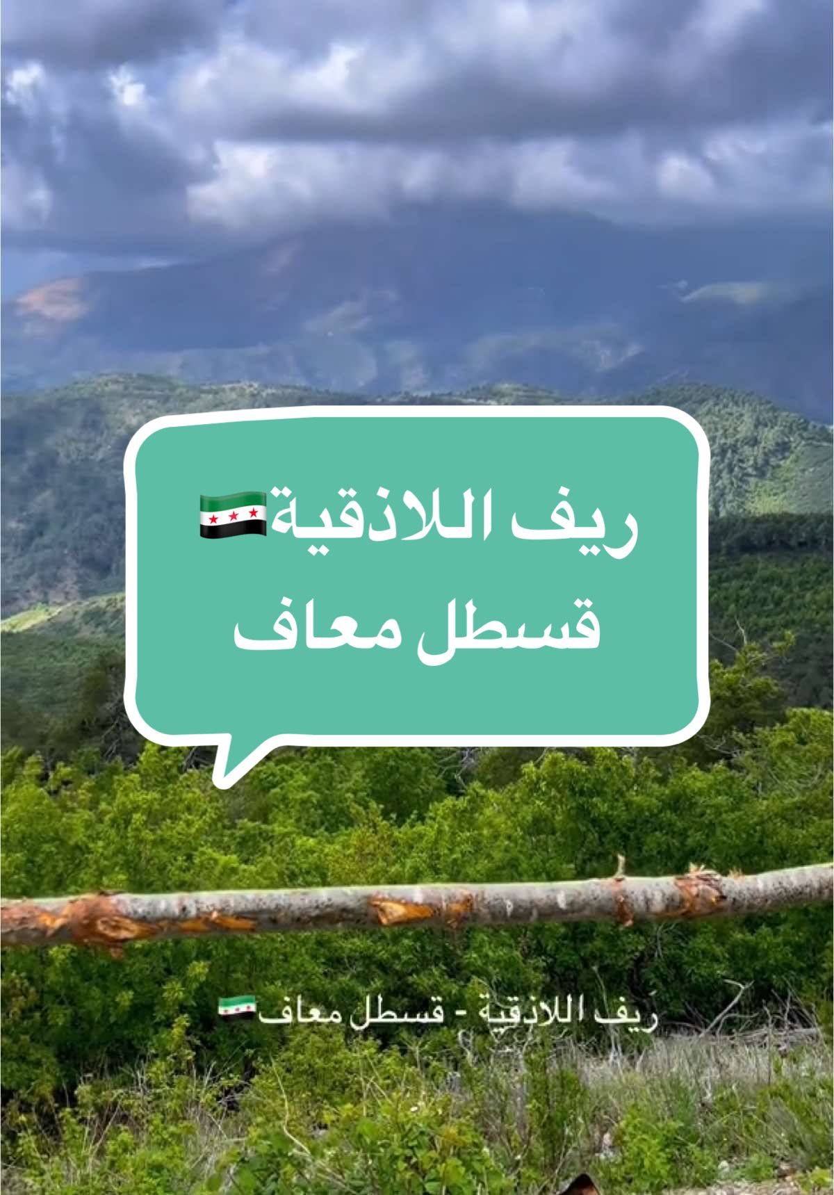 #سوريا #دمشق #syria #سفر #اللاذقية #سوريا_تركيا_العراق_السعودية_الكويت #الشعب_الصيني_ماله_حل😂😂 #السعودية 