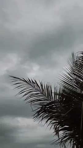 #مساء_الخير #لحظة_فرح 