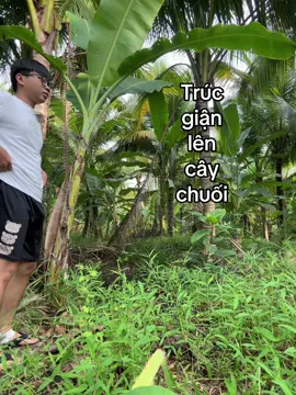 tan nát cõi lòng khi nhìn em sánh bước bên ai #hanthcattoc 
