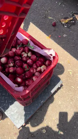 من سوق الجملة للخضر و الفواكه الدارالبيضاء لي عجبوا الفيديو يدير ابوني و شكرا للمتتابعين