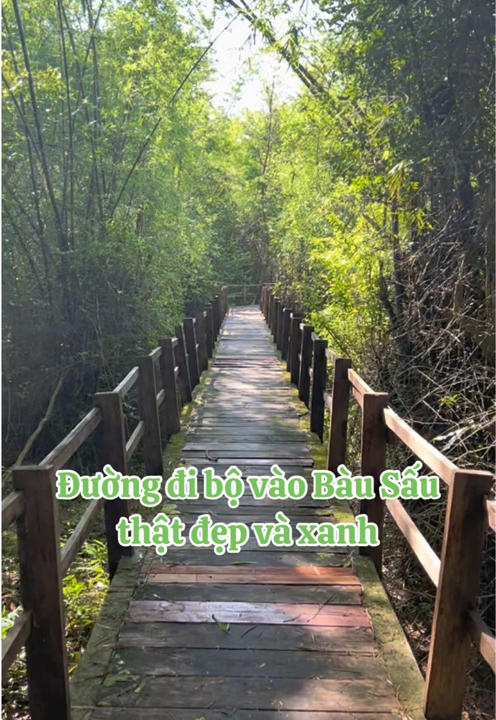 Cây cầu gỗ dẫn vào Bàu Sấu ở VQG Cát Tiên sao mà nó Nhật Bản, nó Hàn Quốc mà nó Châu Âu 😆🤣 #trekking #dulich #khampha #thiennhien #cattien #rung #ramsar 