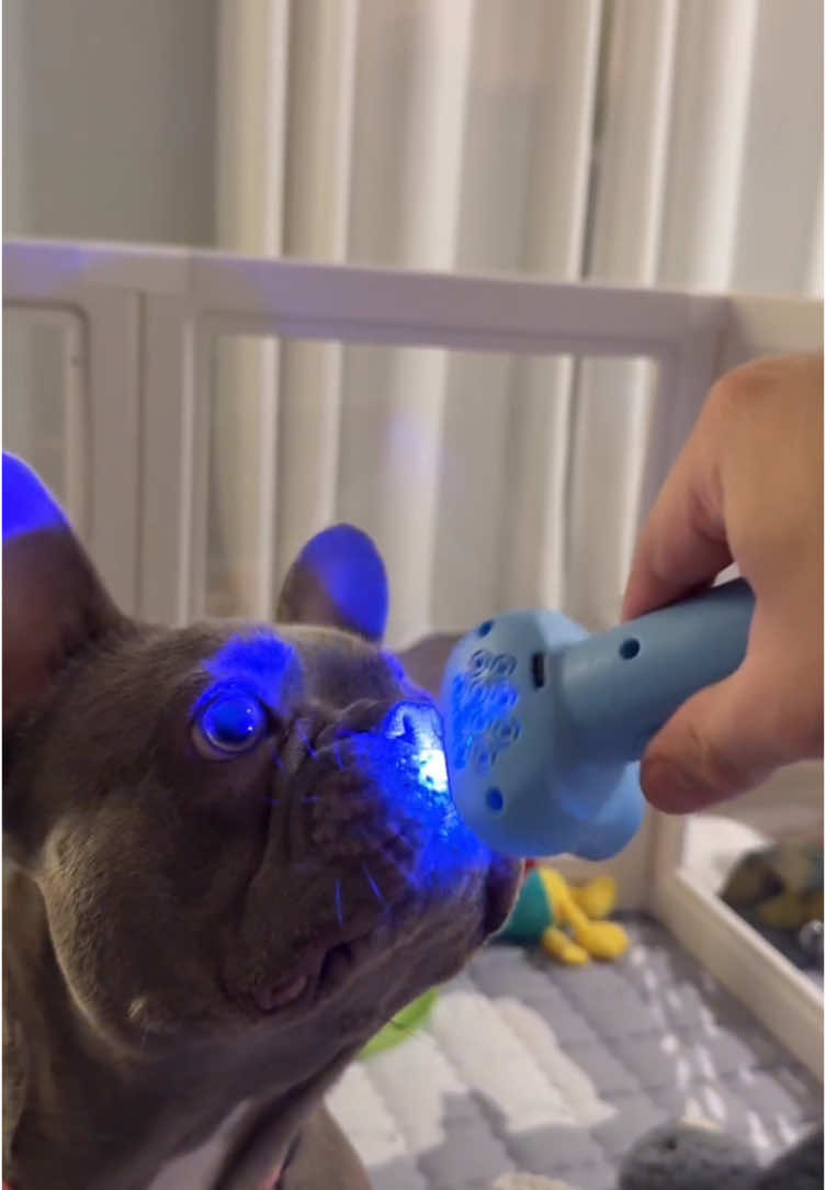 [Fun upgrade] Multi-mode luminous rope toys! One-click switching of flashing effects, MAX atmosphere of parent-child interaction at night✨ #toy #fungift #ropelauncher #glowrope #fidgetfun #fidgettoy #stresstoy #toyforkids 