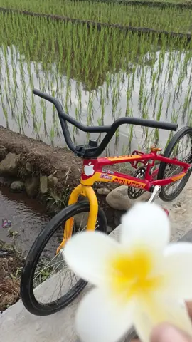 makasih ya jedainya@zaa._iyzee #fypage #ontelspeedsidoarjo #trendjedai #fypシ゚ #trend #fyppppppppppppppppppppppp 