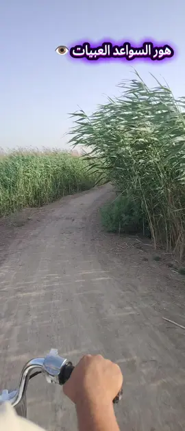 #اهوار_العراق 