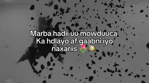 Xaadir 😍🌷.. #fyp #4isha♾️💕 #viraltiktok #Aisha🎀⭐ 