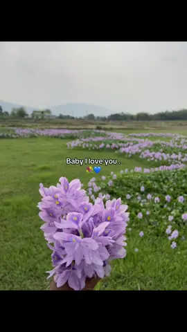 Baby I love you #laymahora #fyppppppppppp #kanxajr12 