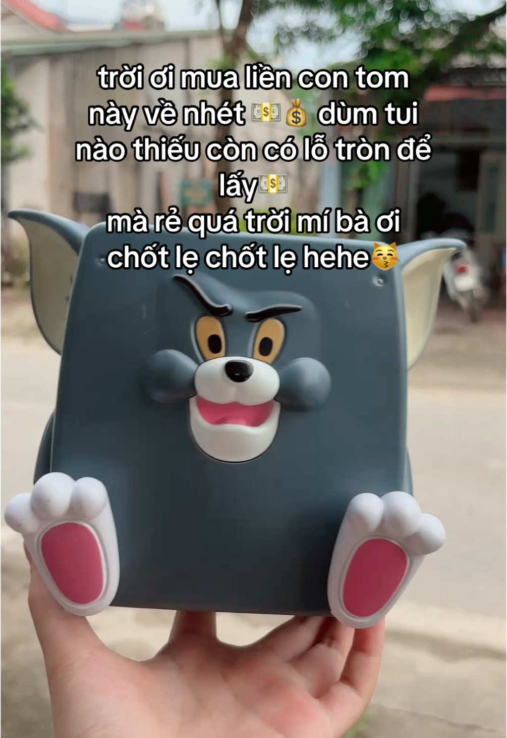 chỗ nhét 💸🤑 hợp lí nè mấy ní oiii #lonnhua #heo #heodat 
