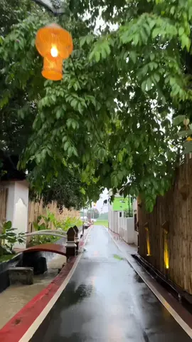 Suasana jalan sawah lembur pakuan setelah hujan + masa renovasi saung 80% hampir selesai🤩✨#fyppppppppppppppppppppppp #lemburpakuanchannel #lemburpakuan #kangdedimulyadi #gubernurjawabarat #fypp #trending 