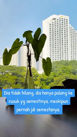 Berlalu dengan Semestinya dan berakhir dengan seharusnya #Trending #fyp #galau #viral 