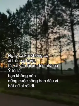 #daoquyen #quyenhaiphong 