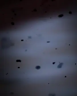 #اسف_عالكطعة_بس_واهس_صفر #طلبوا_واصمملكم #عادت_نشر🔁 #تصميم_فيديوهات🎶🎤🎬تصميمي🔥 #عباراتكم_الفخمه📿📌 #هشتاقاتي_الترند_المشهور #الشعب_الصيني_ماله_حل😂😂 #المصمم_زنجورة★ 