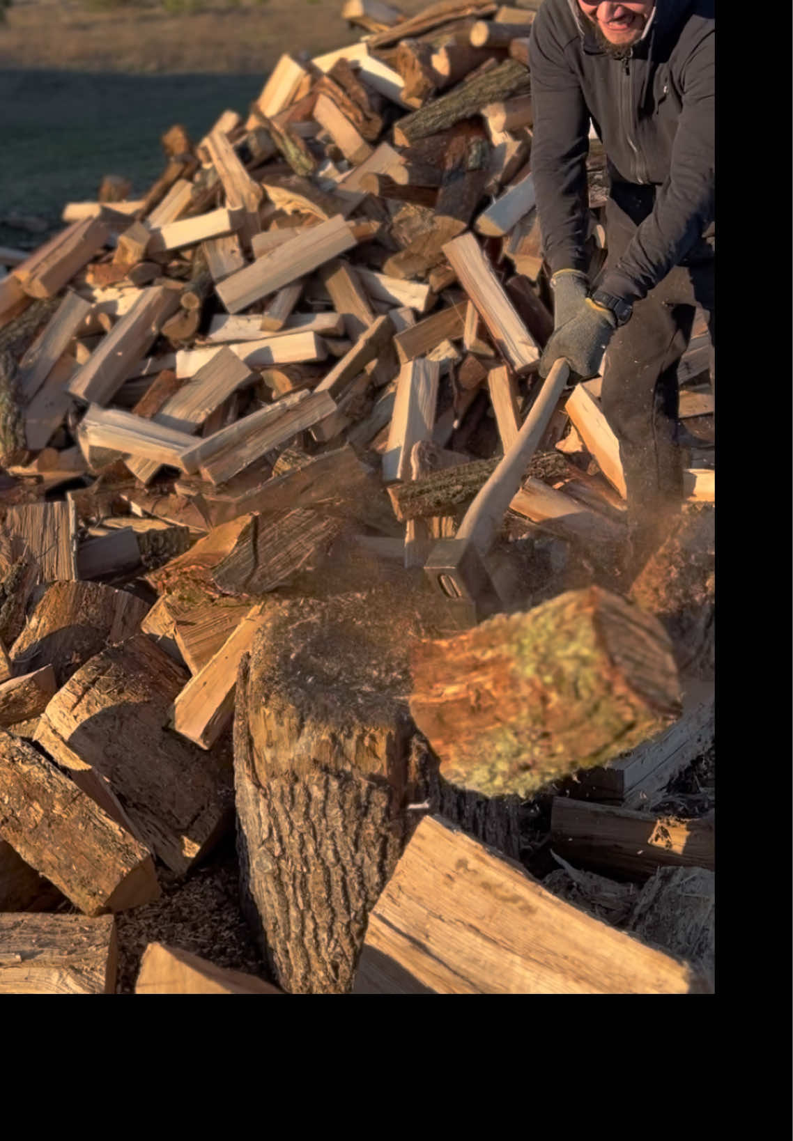 an old rotten log🪵🪓#rek #global #firewood #axe #oak #wood #log 