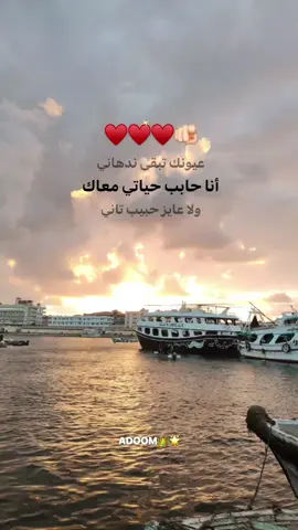 وعدتك اني ابقالك♥️♥️♥️🫵🏻 #fyyyyyyyyyyyyyyyy #عمرو_دياب #تامر_عاشور 