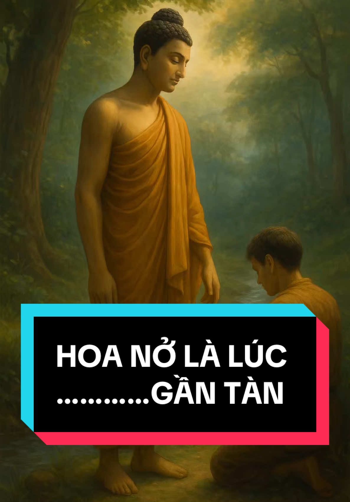 Đôi khi…thứ rực rỡ nhất, chỉ là ánh sáng cuối ngày#tinhthuc #suyngam #loiphatday #dinhcao #chanhphap #daophat 