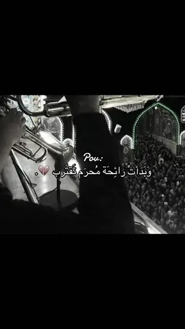 - #شيعة_الامام_علي_عليه_السلام 