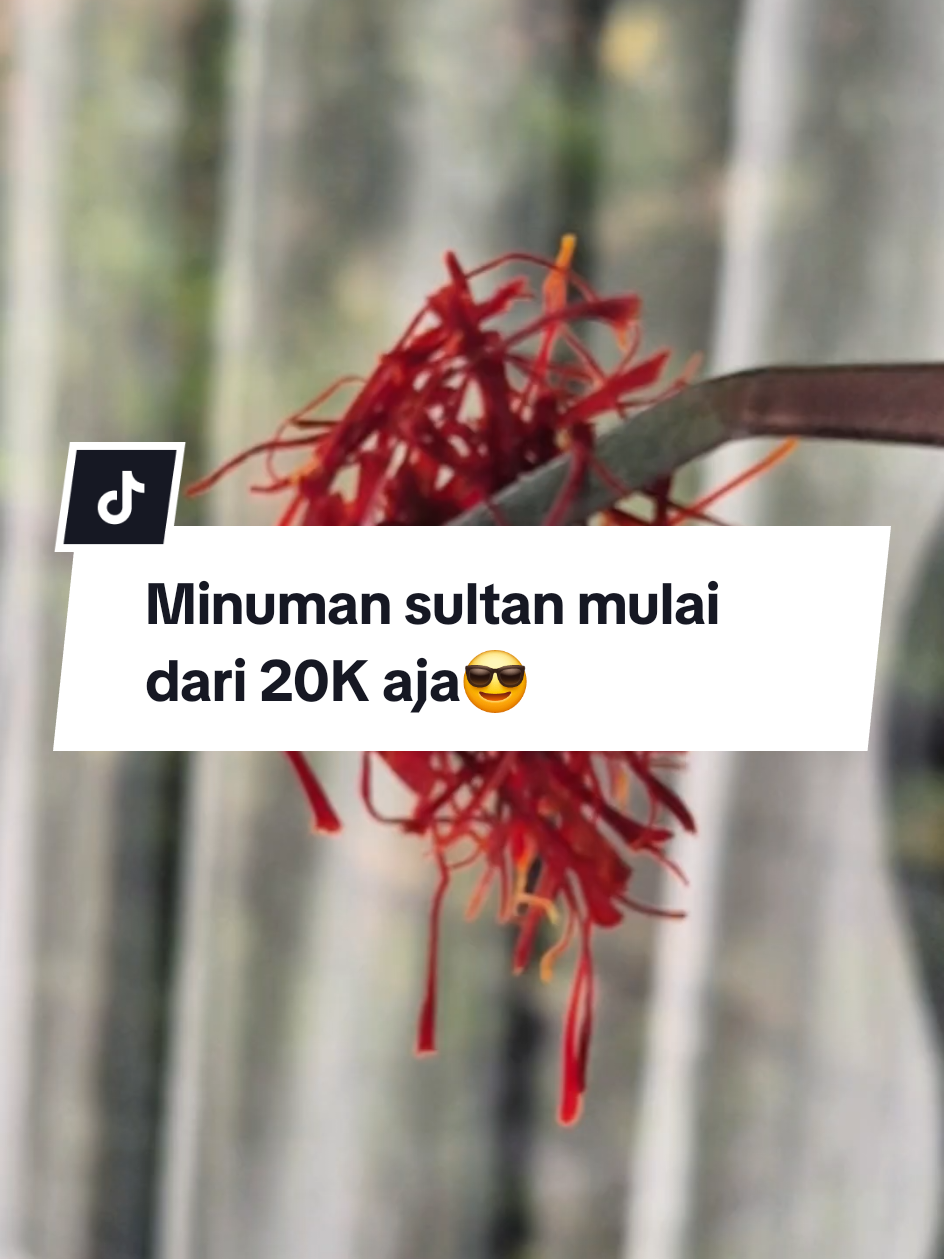 Selfcare gak harus mahal, apalagi saffron tuh rahasia glowup alami yang praktis #Saffron #saffronsafiya #saffronpromil #safiyafood #minumsaffron #fyp #saffronindonesia #saffronafghanistan #saffronpremium #herbal #teh #Agtafany #AgtafanyStore 