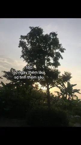 #fyp #xh #fyp #xh #capp #xuhuong #xuhuongtiktok #tiktok #tinhyeu #emyeuanh #yeu #tiktokviral #content 