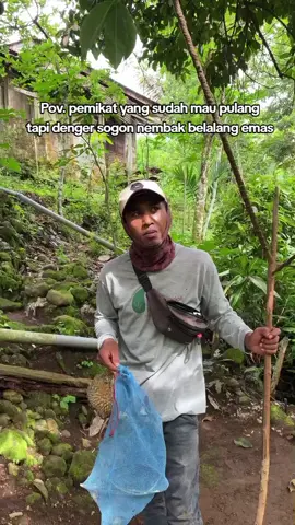 cancel aja dulu pulangnya suhu🤣 #mikatburung #sogonmaniaindonesia #bolang #fyp 