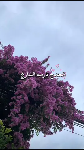 ورود#احبكم 