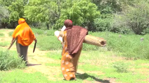 How somali women construct traditional huts, prepare and cook traditional foods and what items they used. #Africanmovies #somalitraditions #somaliwomen #somalitoktokers #Garissa #wajir #mandera #nomadiccommunities #kenyafilms