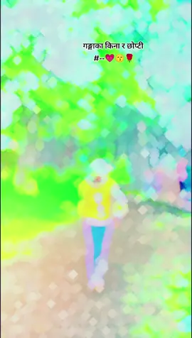 जाले रु जाल हान्न बाइग्यो ,,😙🌹 __#gangamstyle #fppppppppppppppppppppppp❤️ #nepalitiktok #follower #tiktokviral #vairal_video_tiktok #fppppppppppppppppppppppp❤️  @Kamal Biswo @aakashjaigadi123 @edit boy kapil @Sitallaxmi @𝘔𝘢𝘯𝘪𝘴𝘩😞©} @DipakBalati 