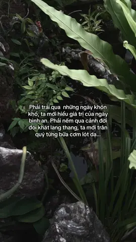 …#tamtrang #story 