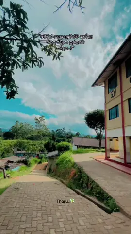 අපිටත් නොදෙනුවත්ව ගෙවිලා ගියපු ජිවිතේ සුන්දර ම කාලය...❤️‍🩹🧚 #highlight  #viwes  #foryou  #viral  #School #Bjv #welimada