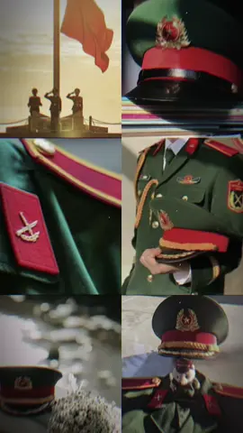 Niềm đam mê đặc biệt vs màu áo lính#xuhuongtiktok #xuhuongtiktok