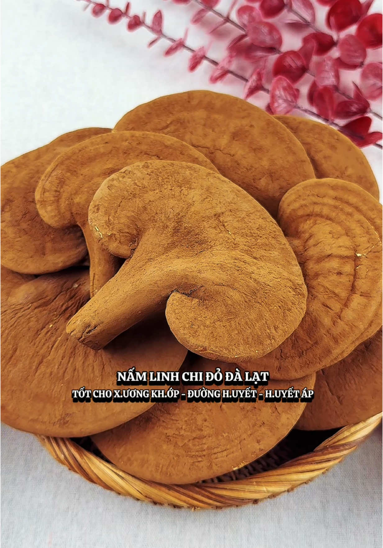 Trả lời @Trần Minh Thư Nấm linh chi đỏ Đà Lạt đặc sản Langfarm tốt cho sức khoẻ #thuongntb #tiemthuong #review #thuhaifreeship #muataitiktokshop #reviewanngon #reviewfood #ancungtiktok #mukbang #namlinhchi #namlinhchido #namlinhchidodalat #namlinhchidolangfarm #langfarm #langfarmdalat #langfarmdacsandalat  @Tiệm Thương  @Tiệm Thương  @Tiệm Thương 