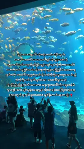 မငြိုငြင်ရက်ချင်စရာအမျိုးသားလေး😭❣️#usinanotheruniverse #fyppppppppppppppppppppppp #pyfffffffffffffffffffffffffffffffff #moots? #ငါသေမှပဲfypပေါ်ရောက်မှာလား💔😑 #fypပေါ်ရောက်စမ်း #fypပေါ်ရောက်စမ်း😒👊🏻မရောက်လည်းနေ🥴 #pyfツ 