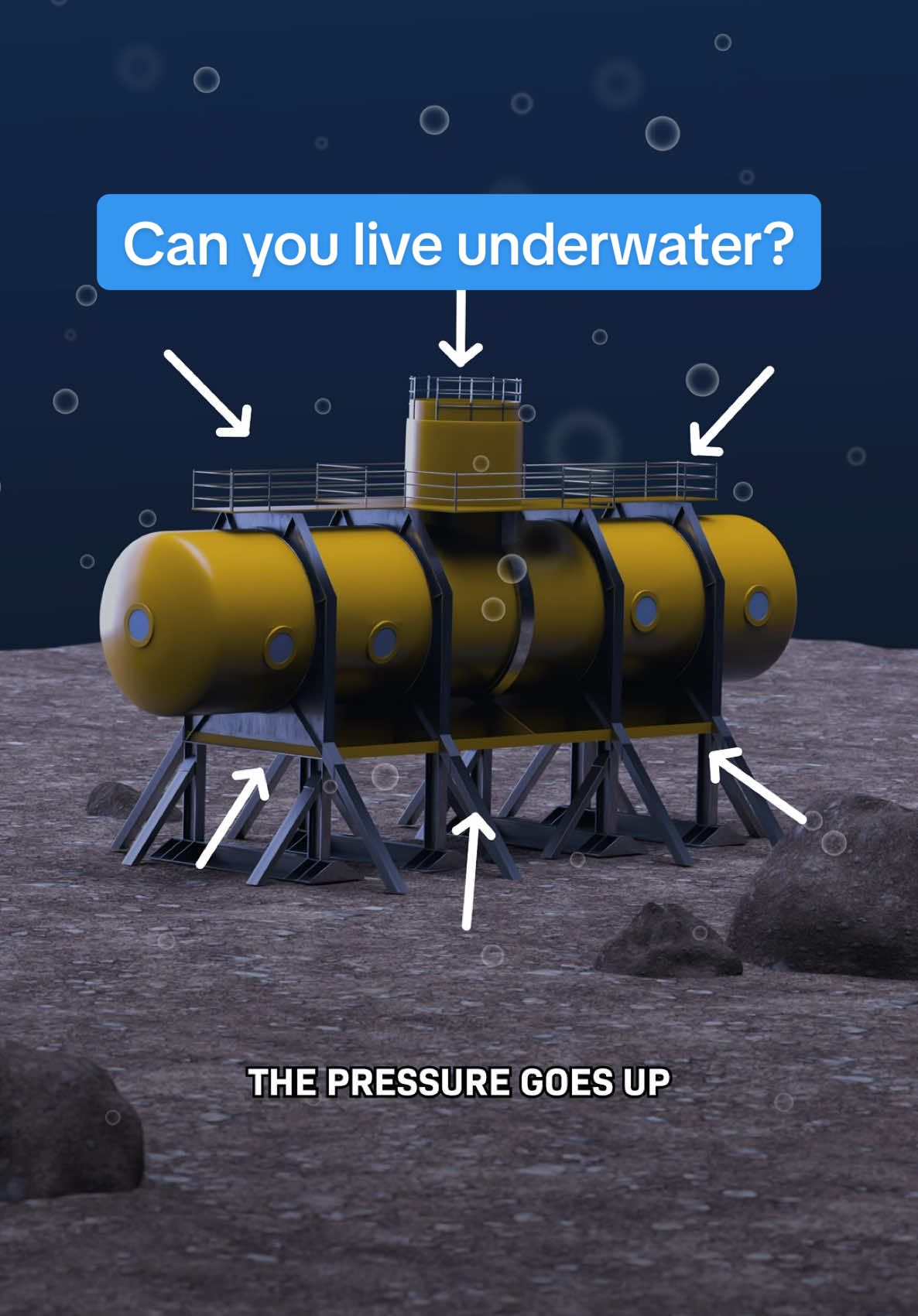 If you’ve ever thought, “what if I lived really deep underwater?” That’s what the US Navy did here! It was called SEALAB and to live down there, “aquanauts” had to breathe air with a lot of helium, which makes you sound… *SQUEAKY*  They got a call from the President, and sounded like this…  It was part of basically an underwater space race! But the project shut down because the deep ocean was harder than space in some ways… We’re making more videos on the deep ocean so follow along! #deepest #deepocean #ocean #animation