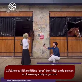 Çiftlikte evlilik teklifine 'evet' denildiği anda sırıtan at, kameraya böyle yansıdı #haber #marry  #me #evlilikteklifi