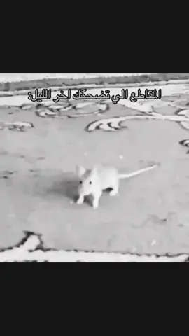 #هههههههههههههههههههههههههههههههههههههه 