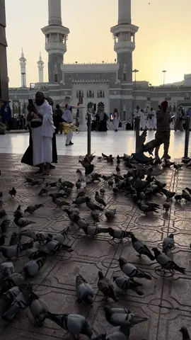 صلّى عليك الله في علياءِه في كلّ حينٍ بكرةً ومساءَ ﷺ 
ٖ #سبحان_الله_وبحمده_سبحان_الله_العظيم #مكة_الآن #مكة_المكرمة #المملكه_العربيه_السعوديه #يوم_الجمعه #اكسبلوووووررررررررررر_تيك_توك #اكسبلورexplore #الصلاة_والسلام_عليك_ياحبيبي_يارسول_الله #الصلاة_على_النبي 