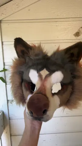 a better look at this half-mask premade- honestly debating keeping this one lol  #furryfandom #furryartist #fursuitmaker #fursuitersoftiktok #fursuit #fursuitpremade #therianmask #premadefursuit #therian #wolftherian #dogtherian #furry #cosplay 