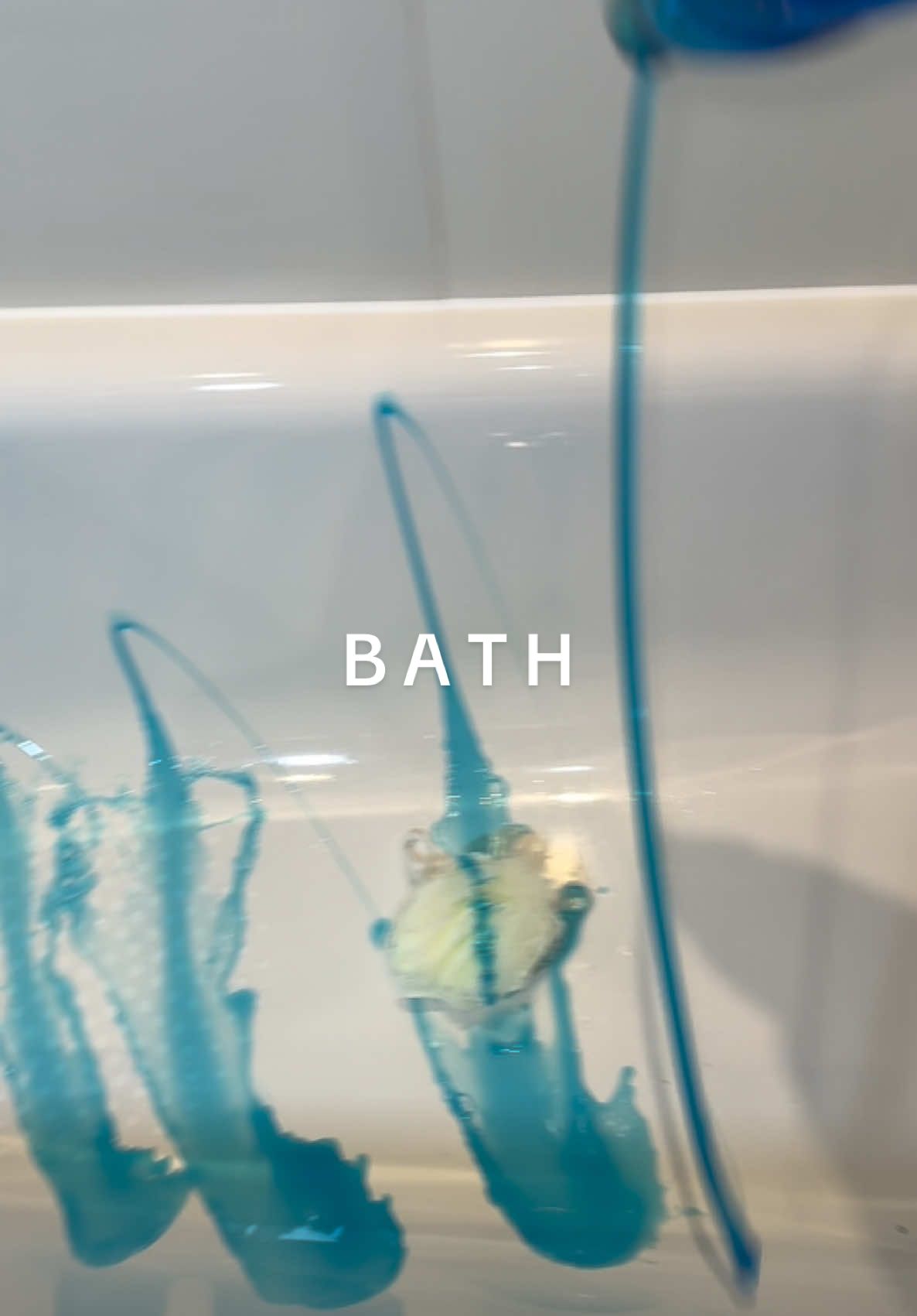 blue overloaddd😍drop a 💙 if you enjoyed!  #CleanTok #relax #cleaningoverload #sudssquad #clean #cleaningtiktok #sudsycleaning #sudsy #sud #spongesqueezesounds