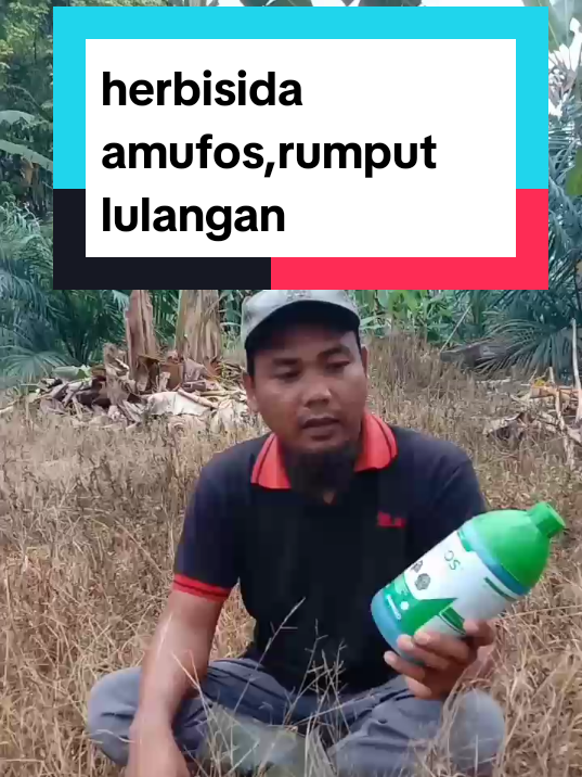 herbisida amufos 1 liter#herbisidaamufos150sl #herbisidaamufoslulangan #herbisidaamufos 