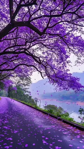 #music #scenery #fyp