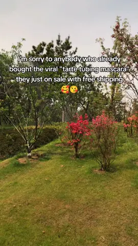 Great deal 