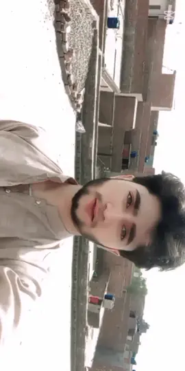 💯#viral #viralvideo #viraltiktok #viralanimals 