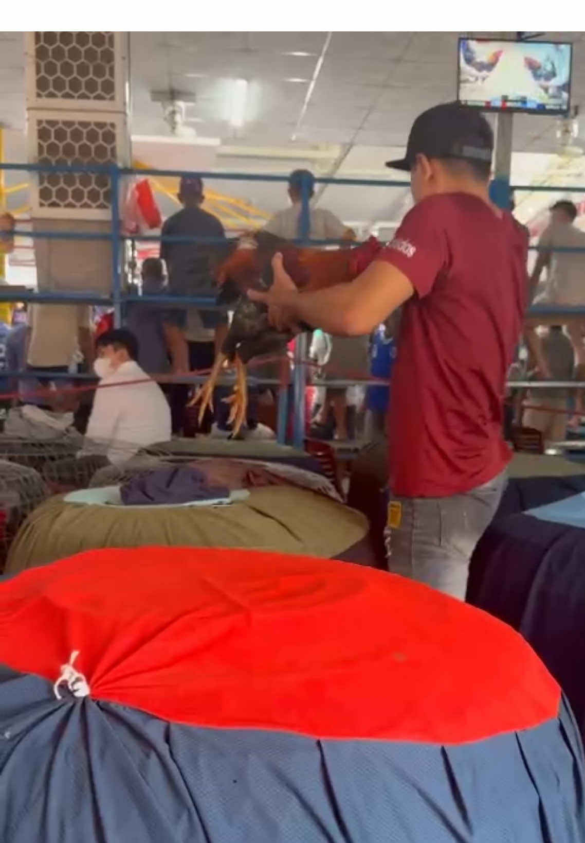 Nhạc báo nay sao nghe hay quá anh @Trung Nguyễn 12
