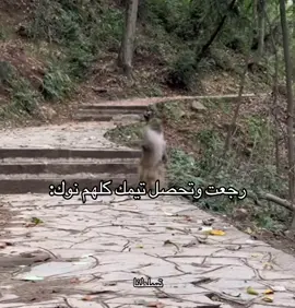 صارت معك؟ 🤣🤣🤣#تسلطنا خش الىايو يعجبك🤩❤️